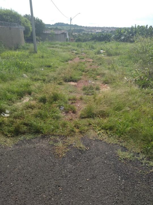 Foto 3 de 19 — Reclamação: “Onde deveria ser uma rua, só tem mato, lixo e água parada”, diz morador